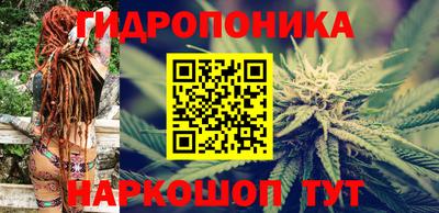 тгк Аргун