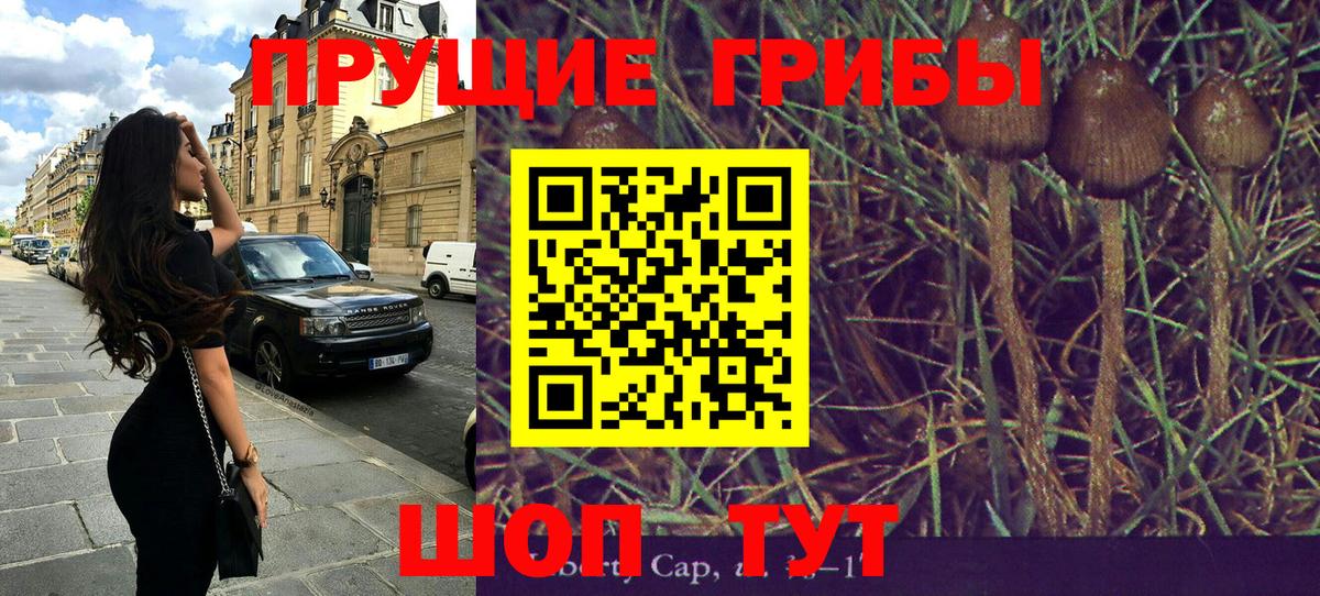 Галлюциногенные грибы Psilocybine cubensis  Вход с VPN  Бузулук 